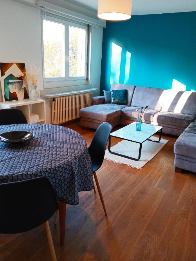 Rare à Colmar - Appartement Champ de Mars vue sur le Parc - 70m2 Esterno foto