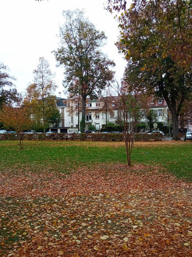 Rare à Colmar - Appartement Champ de Mars vue sur le Parc - 70m2 Esterno foto