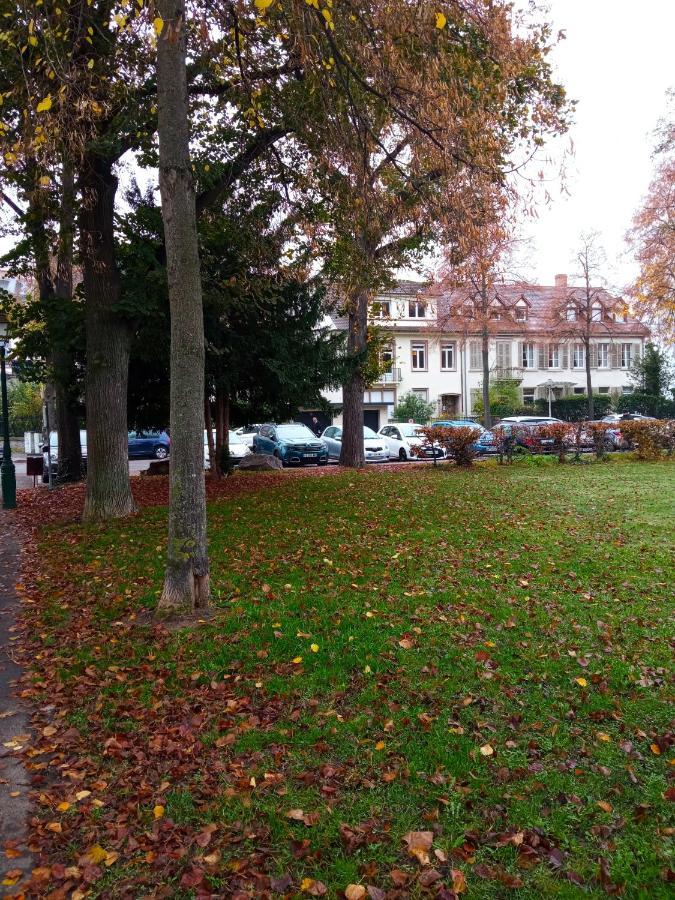 Rare à Colmar - Appartement Champ de Mars vue sur le Parc - 70m2 Esterno foto
