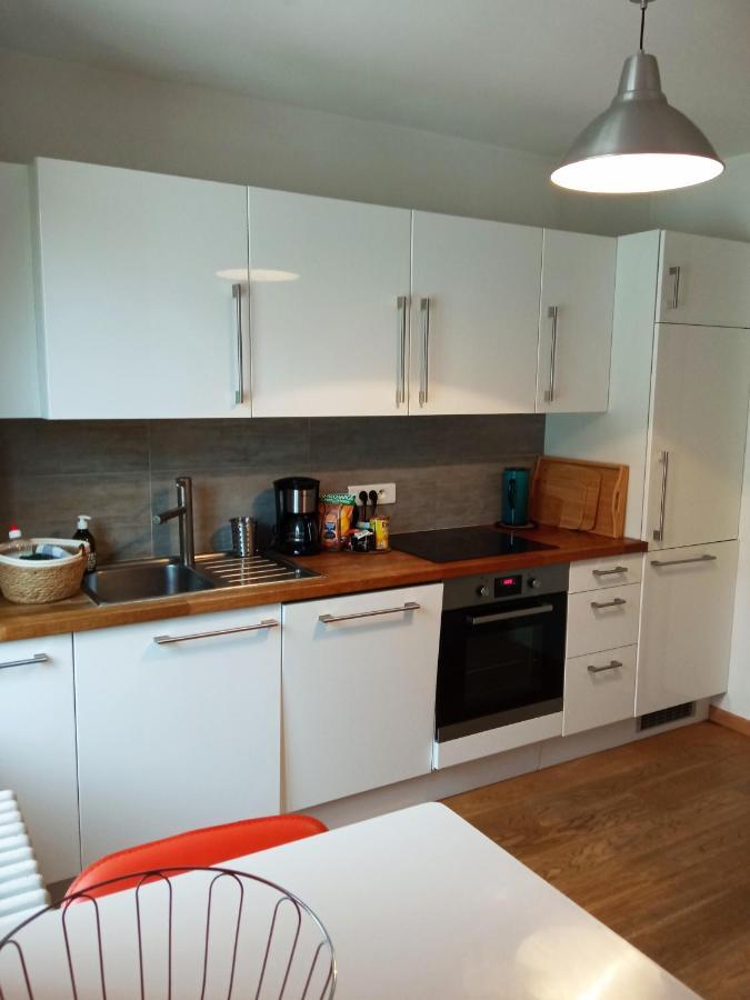Rare à Colmar - Appartement Champ de Mars vue sur le Parc - 70m2 Esterno foto