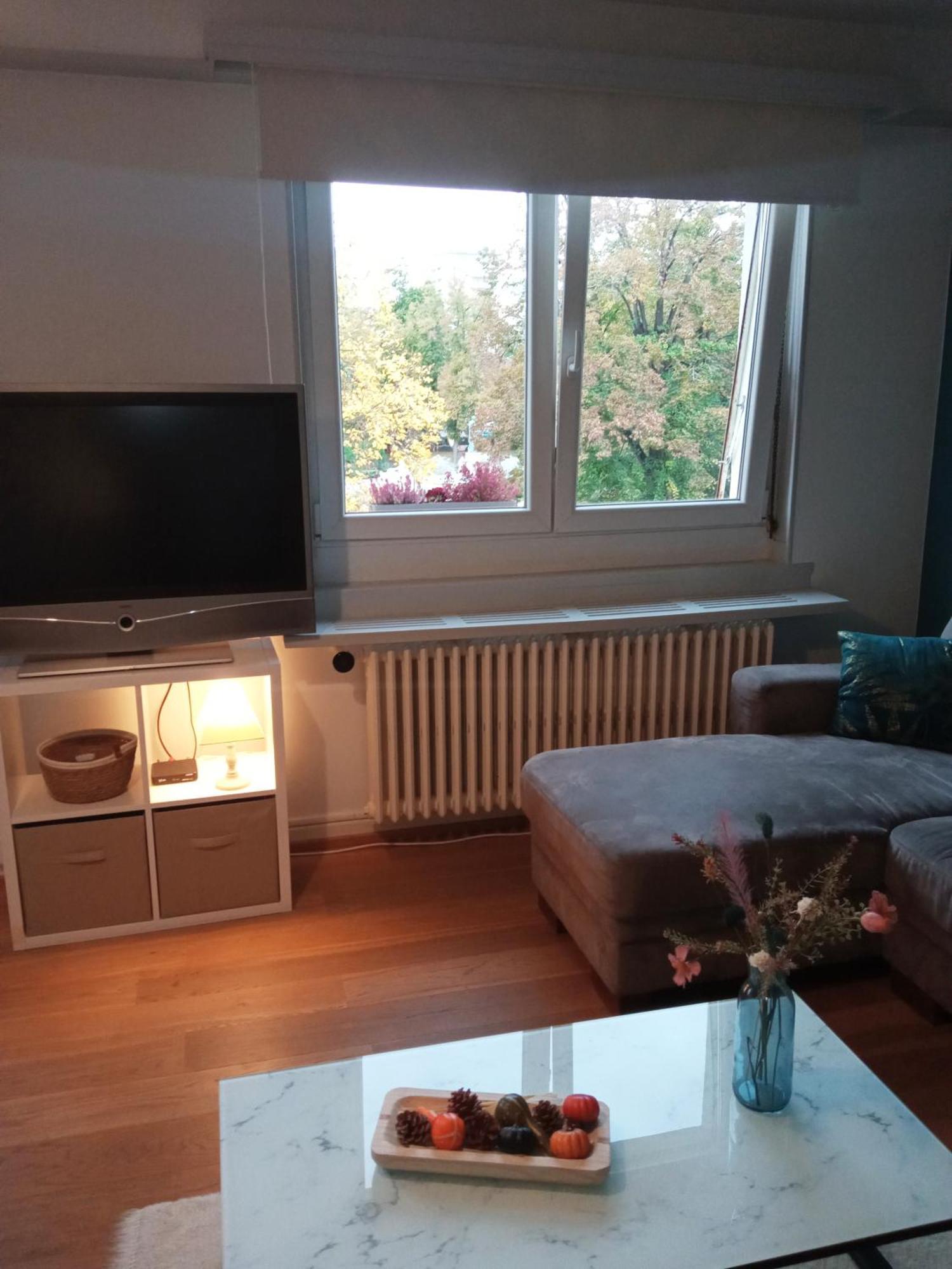 Rare à Colmar - Appartement Champ de Mars vue sur le Parc - 70m2 Esterno foto